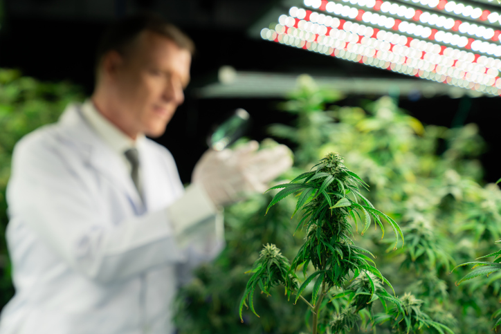 GettyImages-1463126408