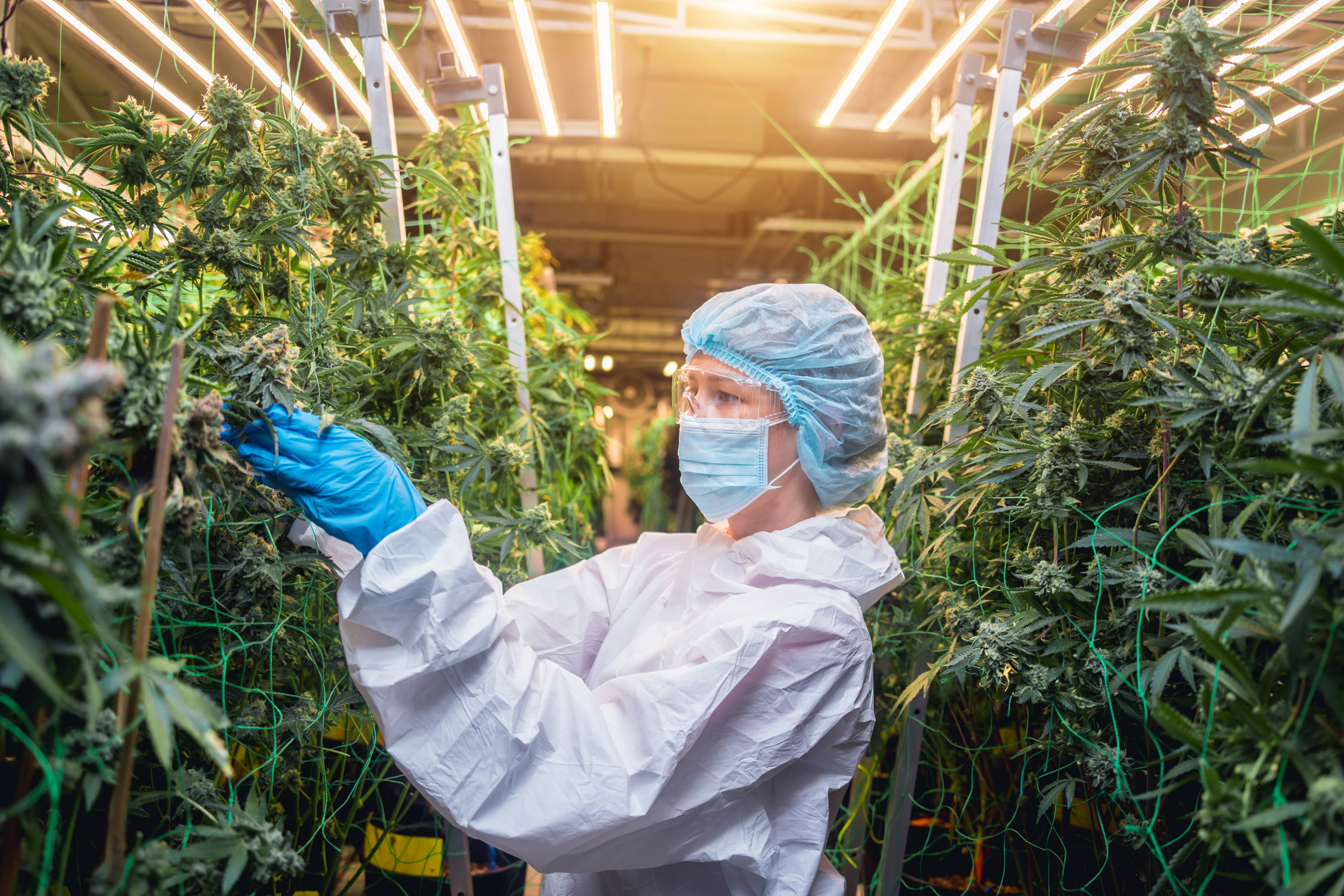 GettyImages-1931984400